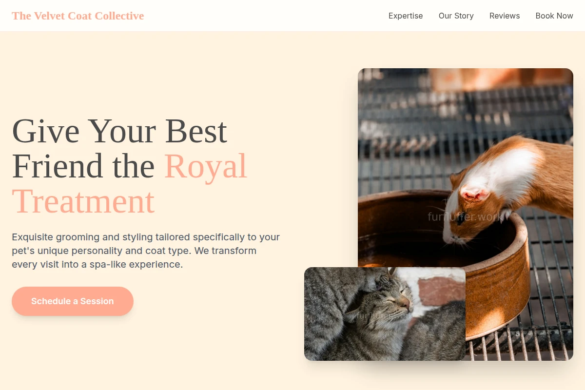 Fur Animal Care