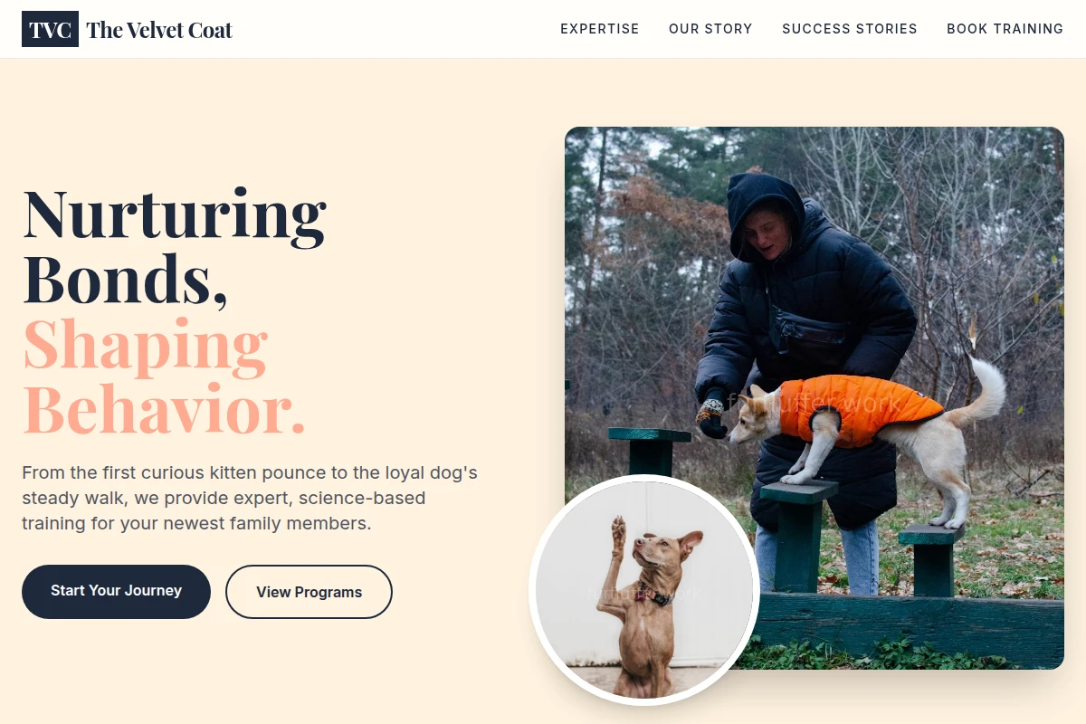 Kitten Dog Training