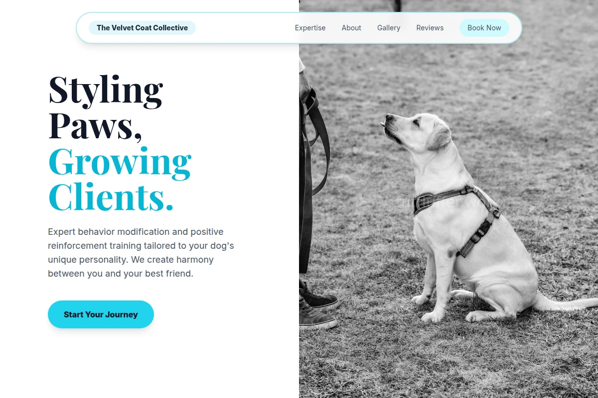 Scissor Dog Training