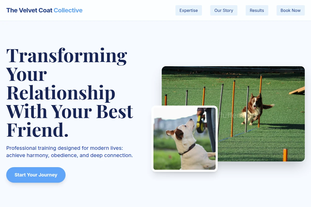 Bark Dog Training