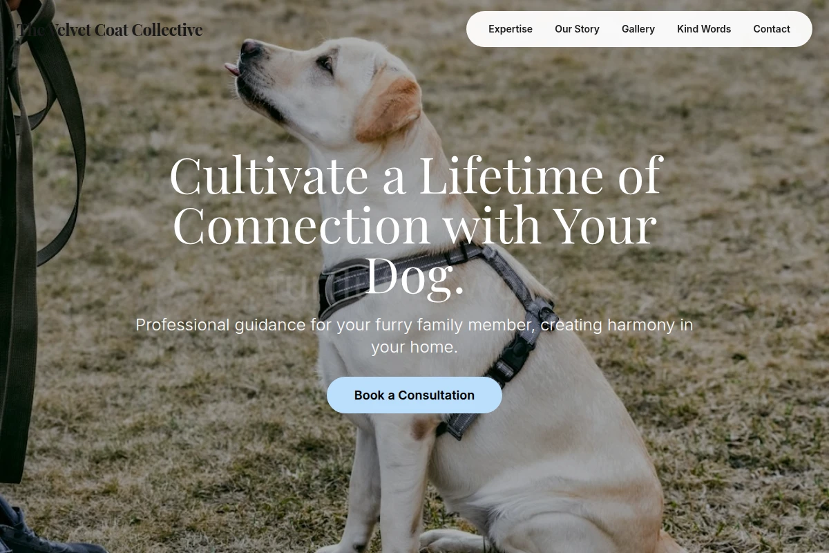 Bark Dog Training