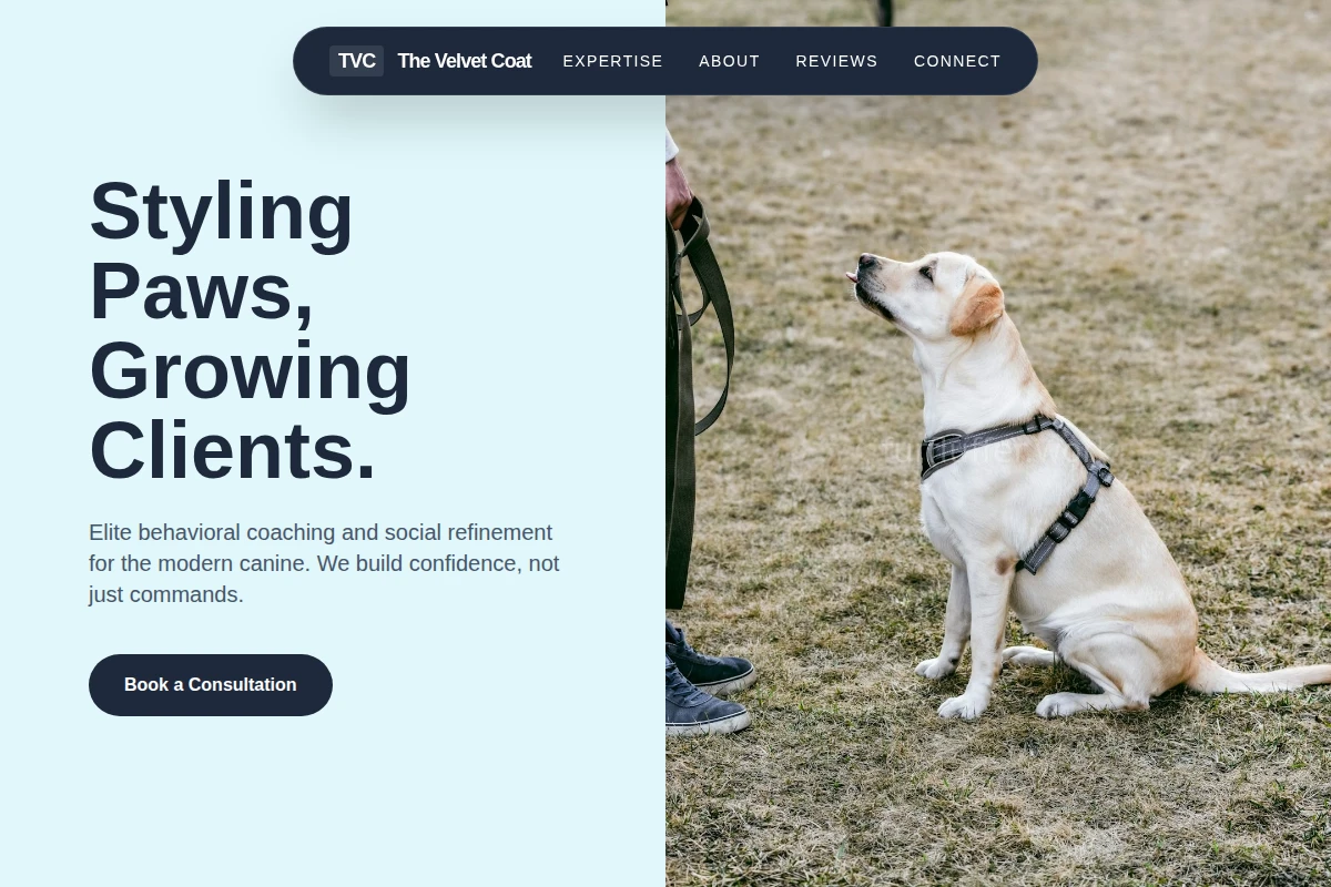 dog-training