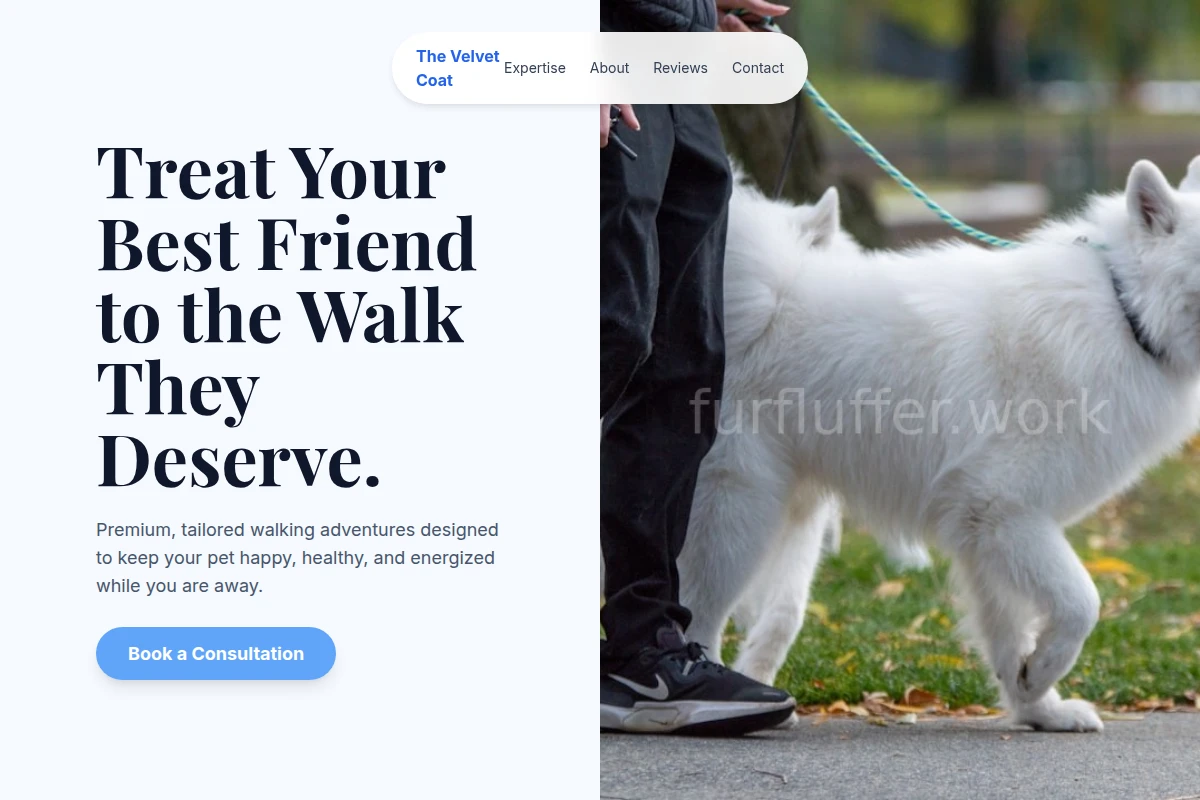 Mane Dog Walking