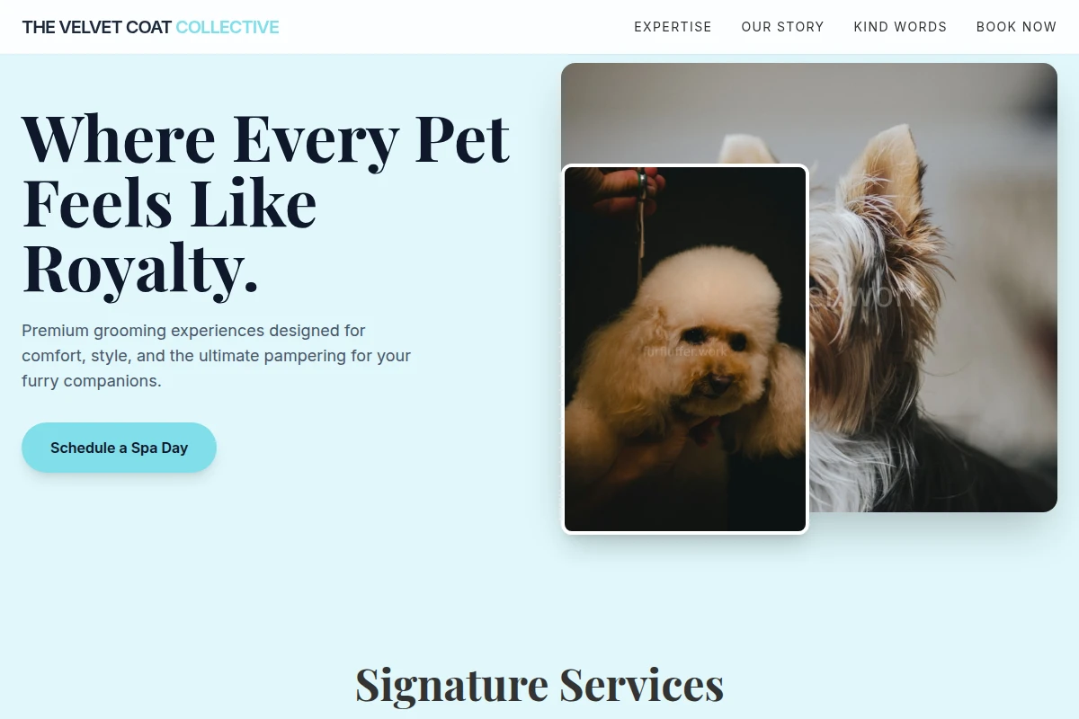 Shampoo Grooming